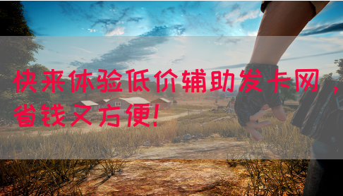 快来体验低价辅助发卡网，省钱又方便！