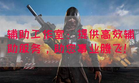 辅助工作室：提供高效辅助服务，助您事业腾飞！