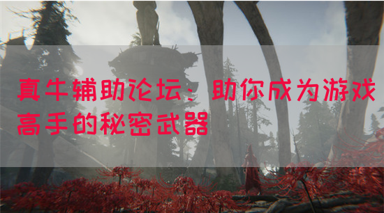 真牛辅助论坛：助你成为游戏高手的秘密武器
