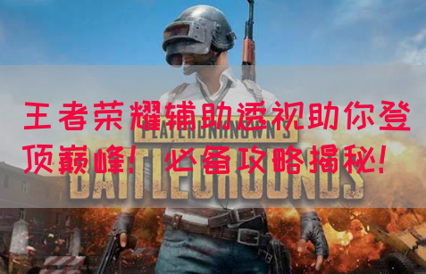 王者荣耀辅助透视助你登顶巅峰！必备攻略揭秘！