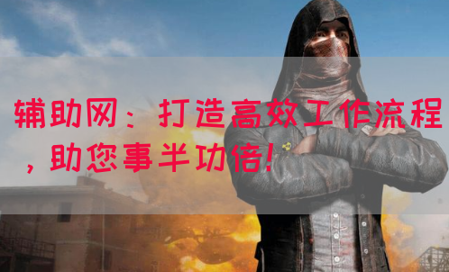 辅助网：打造高效工作流程，助您事半功倍！