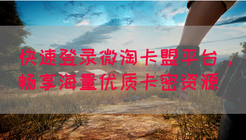 快速登录微淘卡盟平台，畅享海量优质卡密资源