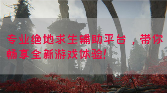 专业绝地求生辅助平台，带你畅享全新游戏体验！