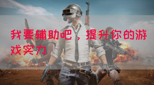 我要辅助吧，提升你的游戏实力