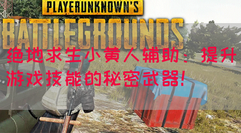 绝地求生小黄人辅助：提升游戏技能的秘密武器！