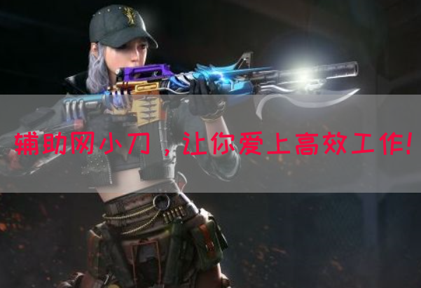 辅助网小刀，让你爱上高效工作！