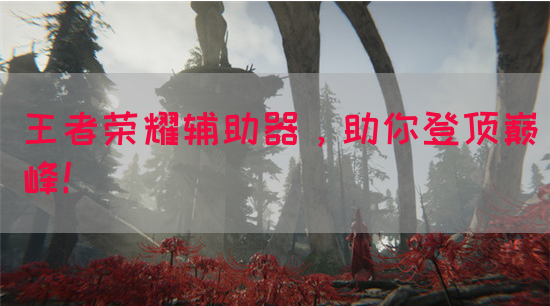 王者荣耀辅助器，助你登顶巅峰！