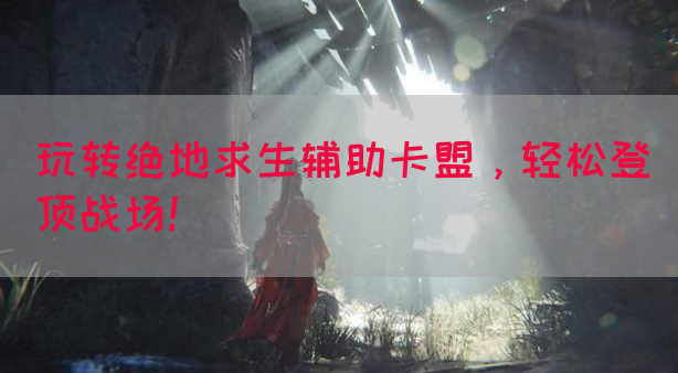 玩转绝地求生辅助卡盟，轻松登顶战场！