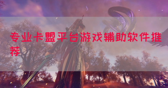 专业卡盟平台游戏辅助软件推荐