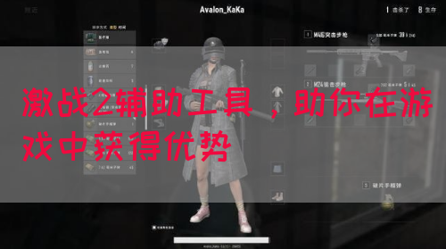 激战2辅助工具，助你在游戏中获得优势