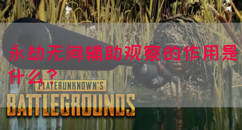 永劫无间辅助观察的作用是什么？