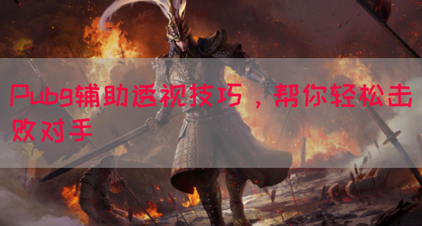 Pubg辅助透视技巧，帮你轻松击败对手