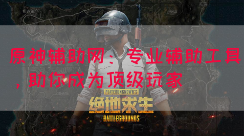 原神辅助网：专业辅助工具，助你成为顶级玩家(图1)
