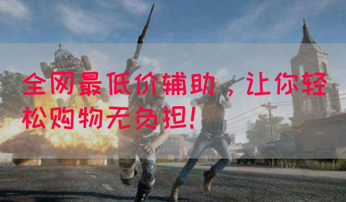 全网最低价辅助，让你轻松购物无负担！