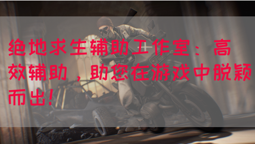 绝地求生辅助工作室：高效辅助，助您在游戏中脱颖而出！