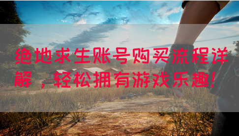 绝地求生账号购买流程详解，轻松拥有游戏乐趣！