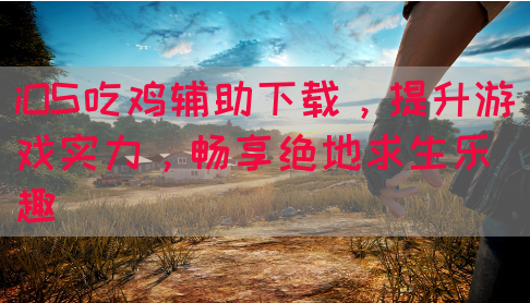 iOS吃鸡辅助下载，提升游戏实力，畅享绝地求生乐趣