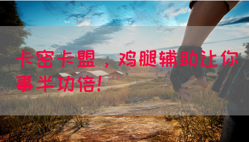 卡密卡盟，鸡腿辅助让你事半功倍！