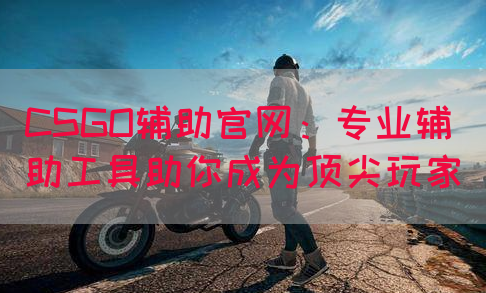CSGO辅助官网：专业辅助工具助你成为顶尖玩家
