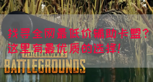 找寻全网最低价辅助卡盟？这里有最优质的选择！