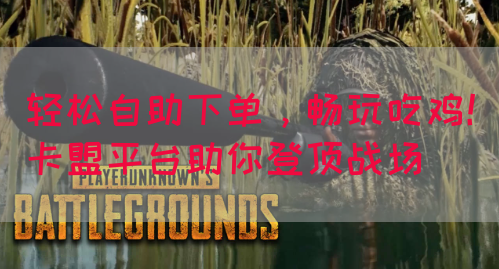 轻松自助下单，畅玩吃鸡！卡盟平台助你登顶战场