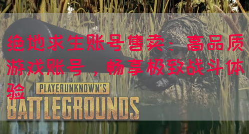 绝地求生账号售卖：高品质游戏账号，畅享极致战斗体验