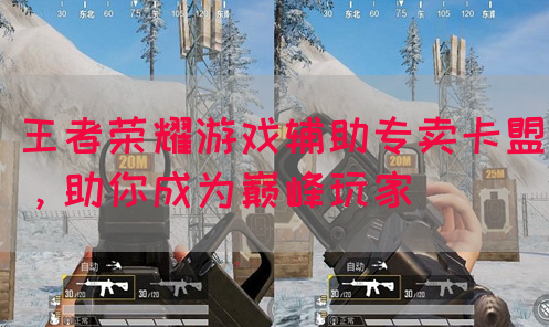 王者荣耀游戏辅助专卖卡盟，助你成为巅峰玩家