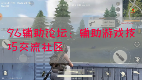 96辅助论坛：辅助游戏技巧交流社区