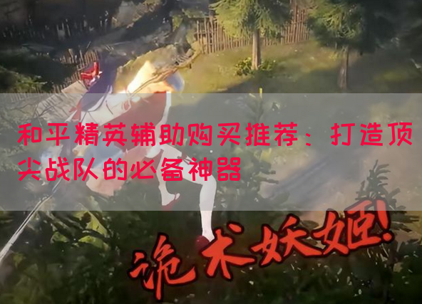 和平精英辅助购买推荐：打造顶尖战队的必备神器
