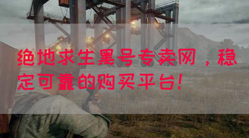 绝地求生黑号专卖网，稳定可靠的购买平台！