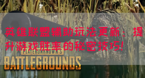 英雄联盟辅助玩法更新：提升游戏胜率的秘密技巧！