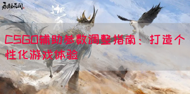 CSGO辅助参数调整指南：打造个性化游戏体验
