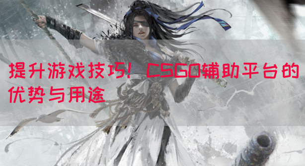 提升游戏技巧！CSGO辅助平台的优势与用途