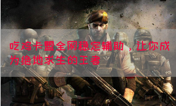 吃鸡卡盟全网稳定辅助，让你成为绝地求生的王者