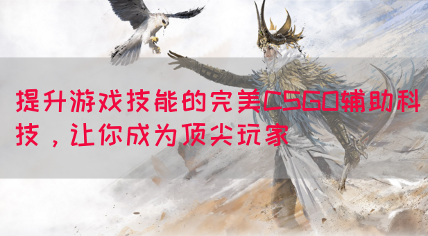 提升游戏技能的完美CSGO辅助科技，让你成为顶尖玩家
