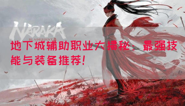 地下城辅助职业大揭秘：最强技能与装备推荐！