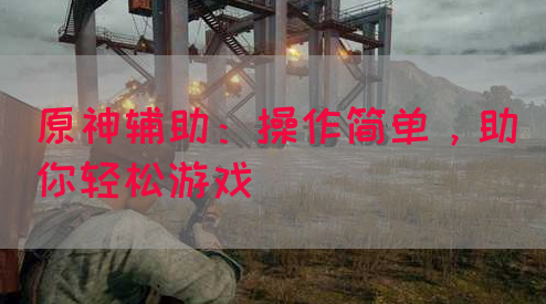 原神辅助：操作简单，助你轻松游戏