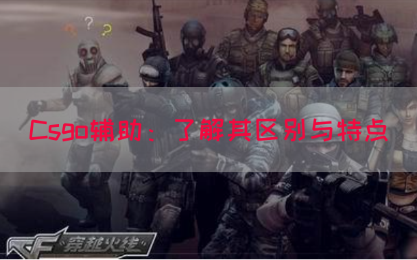 Csgo辅助：了解其区别与特点