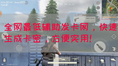 全网最低辅助发卡网，快速生成卡密，方便实用！