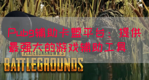 Pubg辅助卡盟平台：提供最强大的游戏辅助工具
