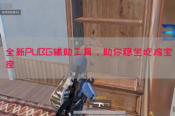 全新PUBG辅助工具，助你稳坐吃鸡宝座