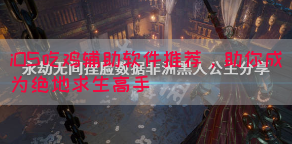 iOS吃鸡辅助软件推荐，助你成为绝地求生高手