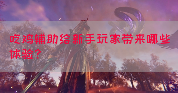吃鸡辅助给新手玩家带来哪些体验？