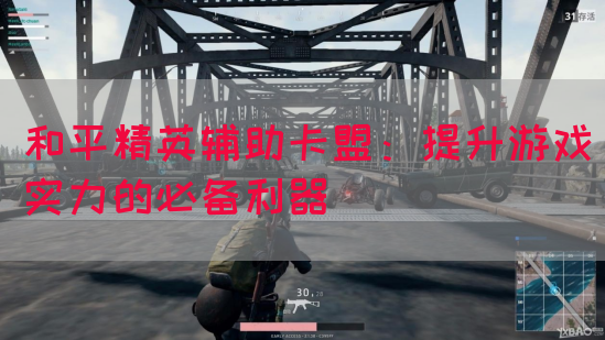 和平精英辅助卡盟：提升游戏实力的必备利器