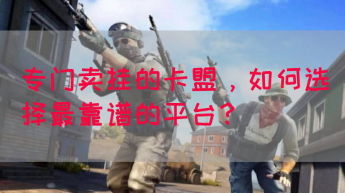 专门卖挂的卡盟，如何选择最靠谱的平台？