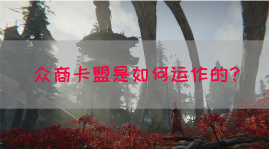 众商卡盟是如何运作的？