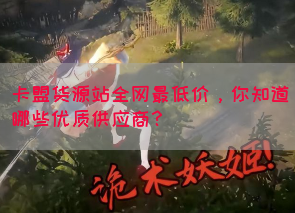 卡盟货源站全网最低价，你知道哪些优质供应商？(图1)