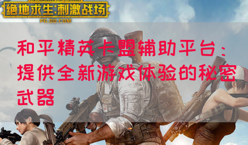 和平精英卡盟辅助平台：提供全新游戏体验的秘密武器