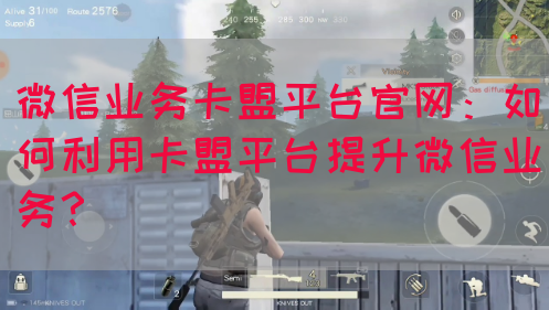 微信业务卡盟平台官网：如何利用卡盟平台提升微信业务？