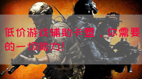 低价游戏辅助卡盟，你需要的一切助力！